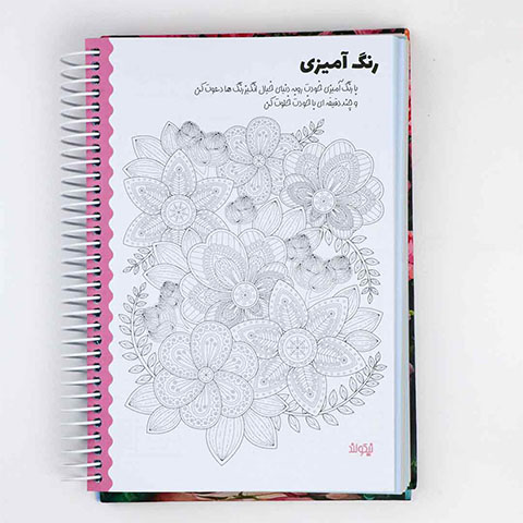 پلنر-سالانه-نیکولند- رنگامیزی